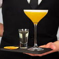 Pornstar Martini Cocktail Making Kit